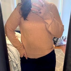 Jcrew crewneck sparkle sweater